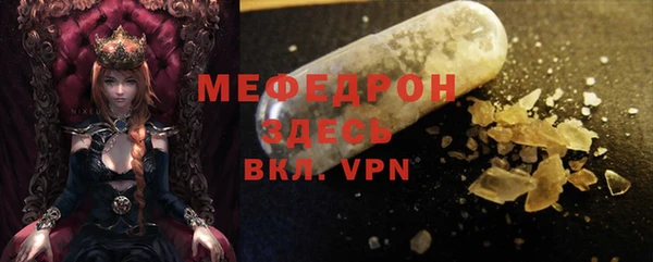 стаф Аркадак