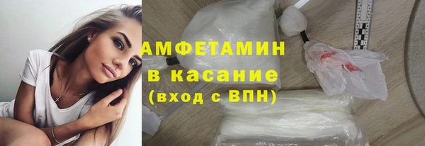 стаф Аркадак