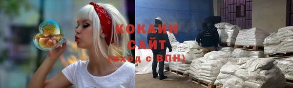 стаф Аркадак
