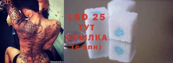 стаф Аркадак