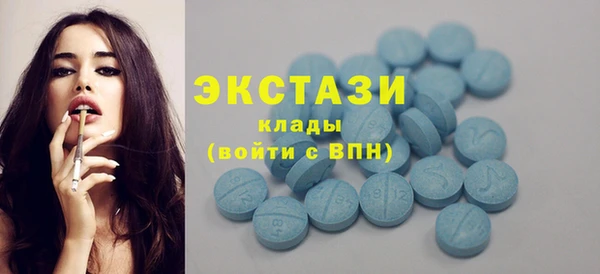 стаф Аркадак