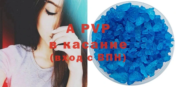 стаф Аркадак