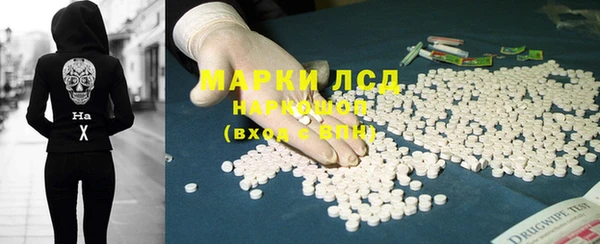 стаф Аркадак