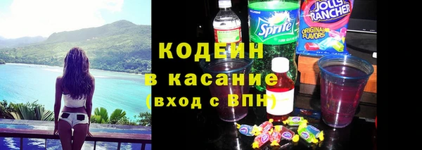 стаф Аркадак