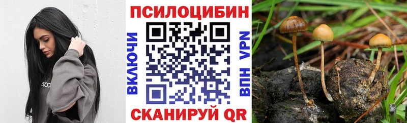 Псилоцибиновые грибы мухоморы  купить наркотики цена  Полесск 